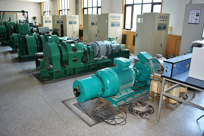 嘉定某热电厂使用我厂的YKK高压电机提供动力
